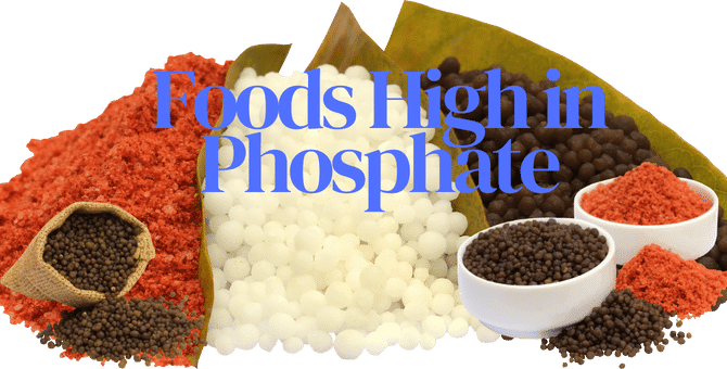 Foods High in Phosphate
