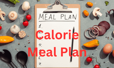 a 1200-Calorie Meal Plan for Super High Protein Fat Loss Meals