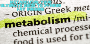 Knowing Everything About Metabolism