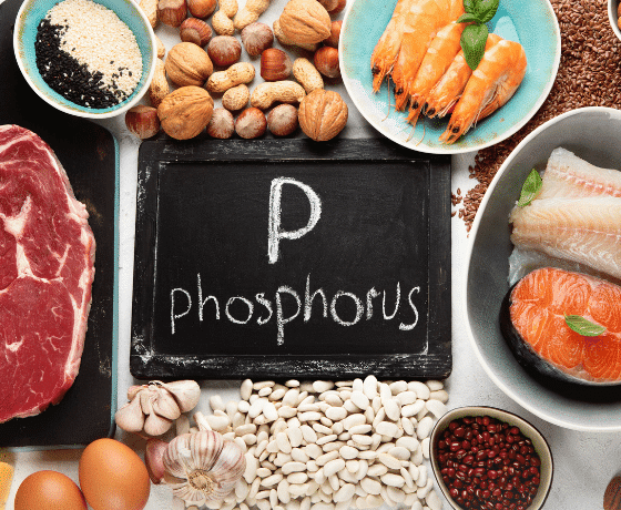 Body Is in Need of Phosphorus