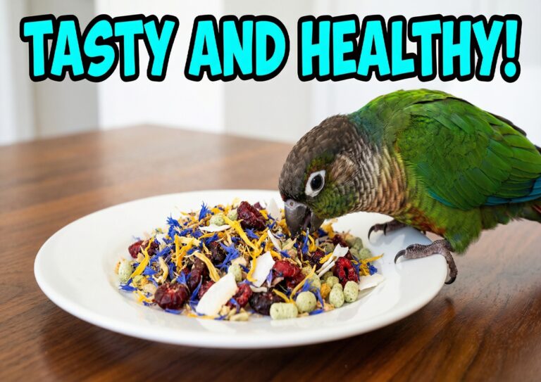 Food of a Parrot